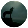 Avatar100 img