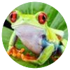 Avatar100 img