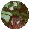 Avatar100 img