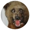 Avatar100 img