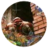 Avatar100 img
