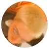Avatar100 img