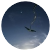 Avatar100 img