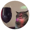 Avatar100 img