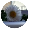 Avatar100 img