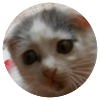 Avatar100 img