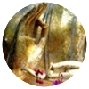 Avatar100 img