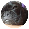 Avatar100 img