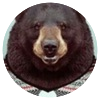Avatar100 img