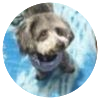 Avatar100 img