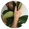 Avatar100 img