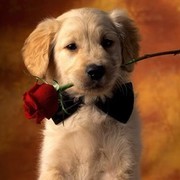 Thumb img 644e1107e5