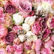 Thumb img 46e12bb6f7