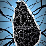 Thumb img 5689bb7d19