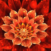 Thumb img 57a10a8935