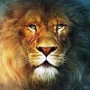 Thumb img 3dbdda3f62