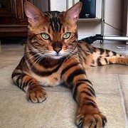 Thumb img f92c181143