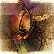 Thumb img 049e60abd1