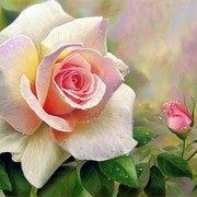 Thumb img aa53aaa83c