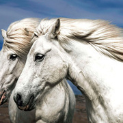 Thumb img f5c47c979d