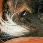 Thumb img 85c1013f21