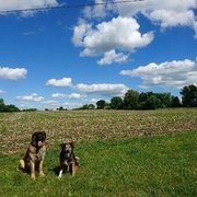 Thumb img 2ee67d0923