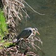 Thumb img 8c7999a765