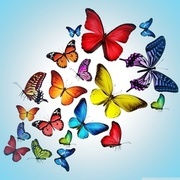 Thumb img a9a774c239