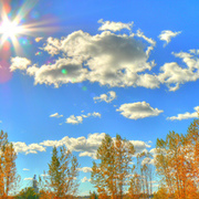 Thumb img e0f48447b1