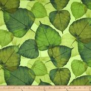 Thumb img 874dcc8a98