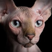 Thumb img 4e6e519925