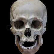 Thumb img 8103e87865