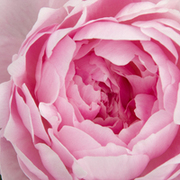Thumb img 645933ab24