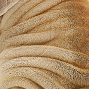 Thumb img 612404685a