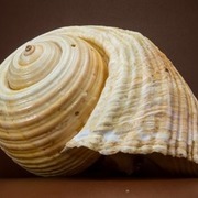 Thumb img ddb81431bd