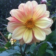 Thumb img 386b4cb442