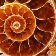 Thumb img 8a8a0bc29b