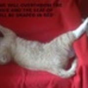 Thumb img bec65d996a