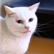 Thumb img 80df18f039