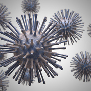 Thumb img 5fcfeb83dd