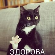 Thumb img 94e14b4fdc