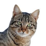 Thumb img 29e58f68c1