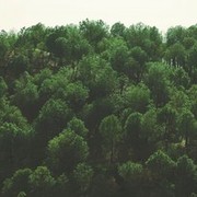 Thumb img 17a5f0e48f