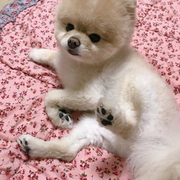Thumb img 86527d06b1