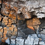 Thumb img e55f166513