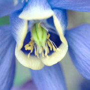 Thumb img 8144d339cb