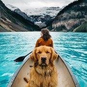 Thumb img 6c42f98d4c