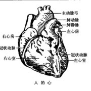 Thumb img 2b5861b911