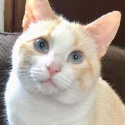 Thumb img ee595b890b