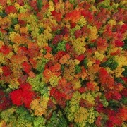 Thumb img c3f44b21f5